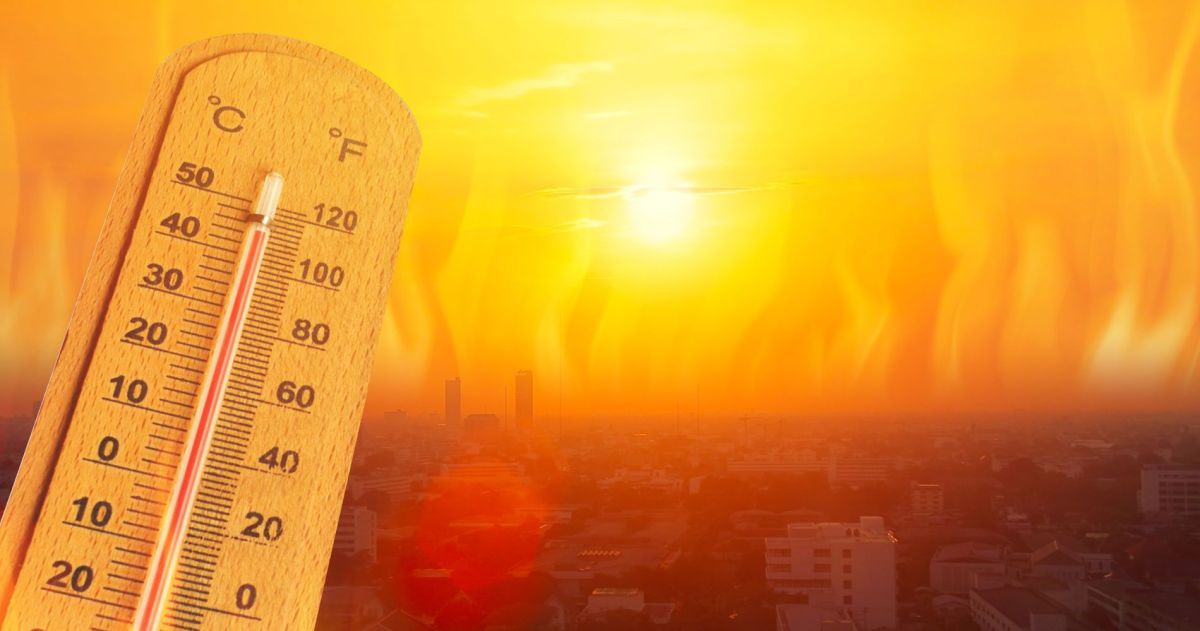 Mundo Rumo a 2,6 °C de Aquecimento e Aumento de 167% nas Mortes por Calor entre&nbsp;Idosos